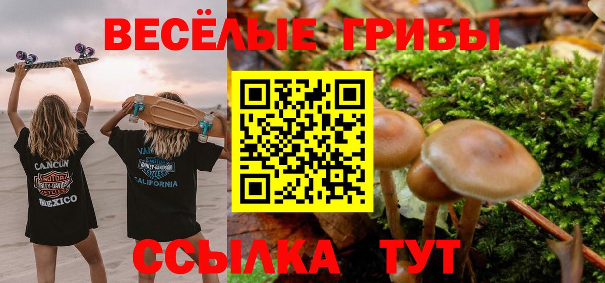 Псилоцибиновые грибы GOLDEN TEACHER  Вход с VPN  Тосно 
